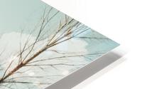 Sunset forest scenery. HD Metal print
