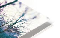 Mystical forest. HD Metal print