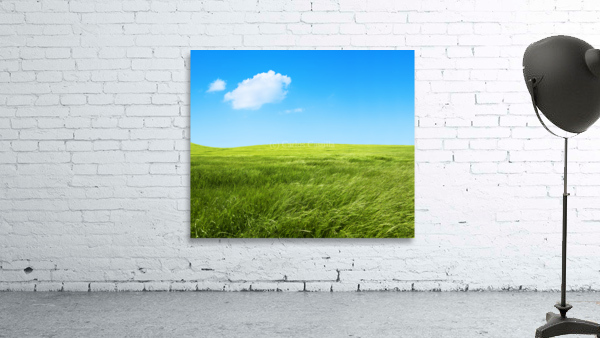 Green grass fields Wall Preview