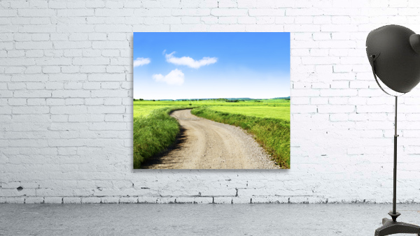 Green grass fields and road Wall Preview