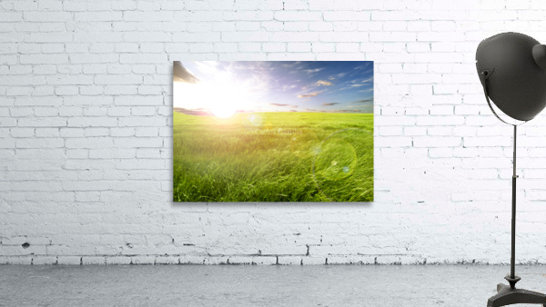 Sunset green fields Wall Preview
