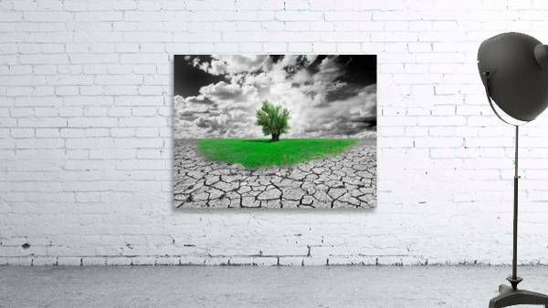 new ecosistem Wall Preview