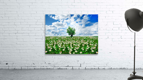 springtime Wall Preview