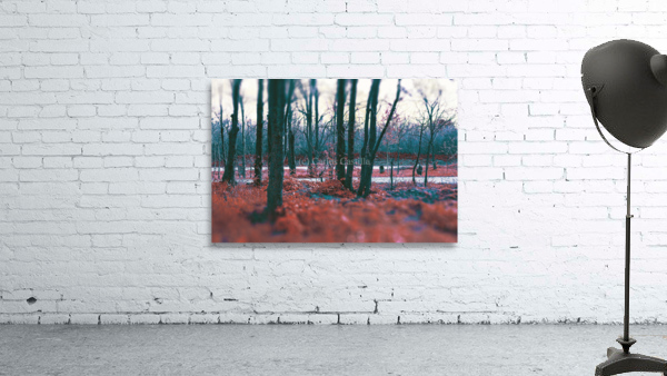 Mystical forest. Wall Preview