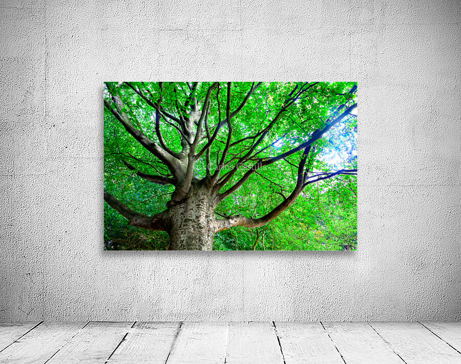 Tree in springtime. Wall Preview