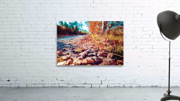 Autumn sunset landscape. Wall Preview