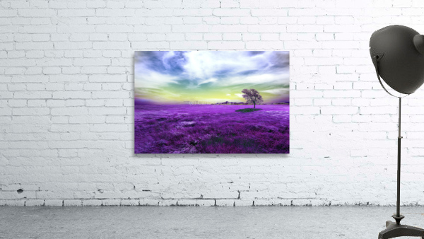 Tree between the fields. Wall Preview