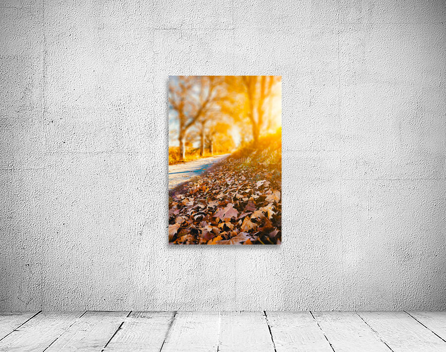 Autumn sunset landscape. Wall Preview