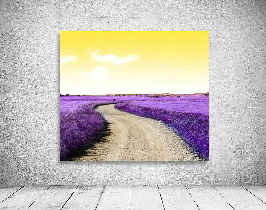 Road through the fields. Wall Preview