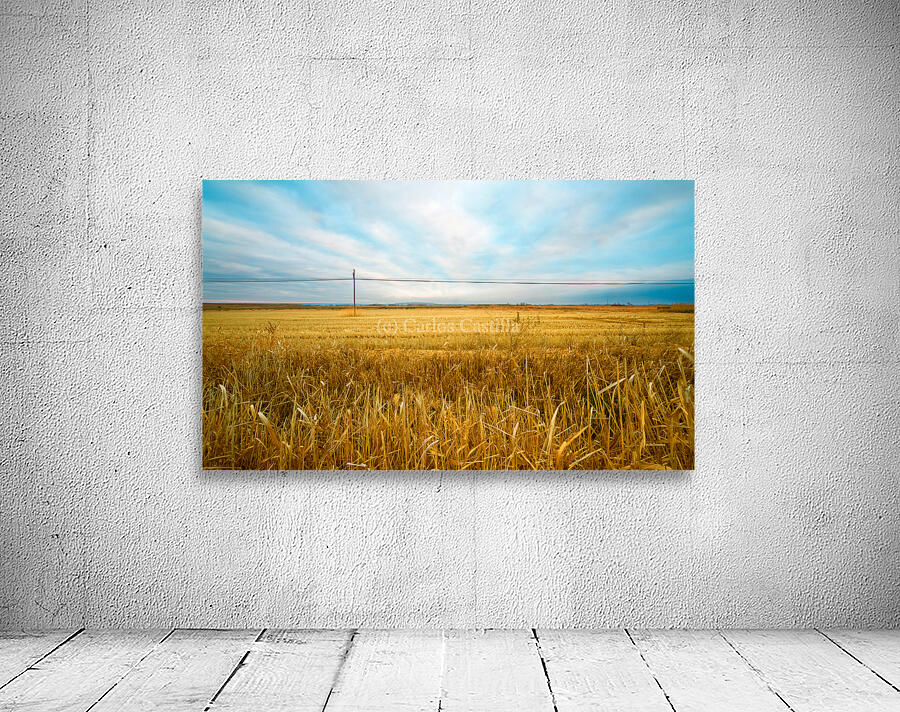 field Wall Preview