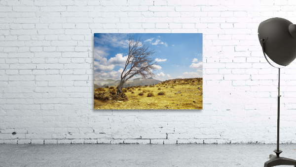 tree landscape Wall Preview