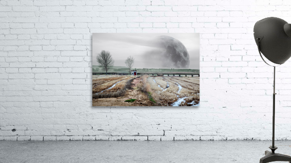 Full moon dreamscape Wall Preview
