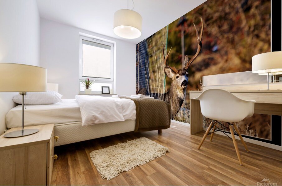 4 point buck Mural print