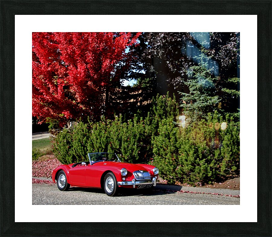 IMG 2011 Picture Frame print