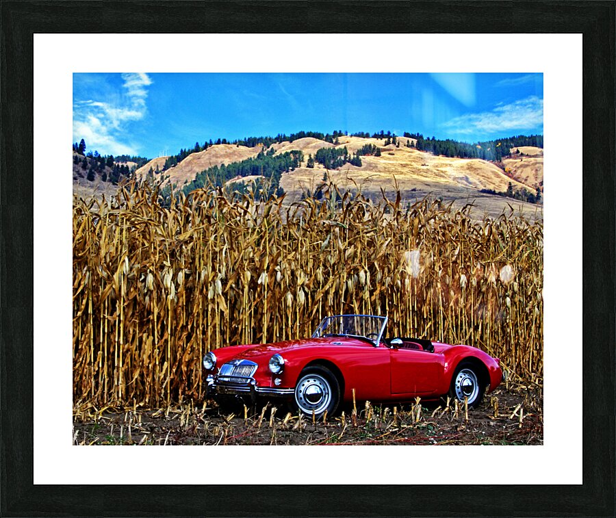 off road vehicle Picture Frame print