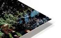 IMG 2011 HD Metal print