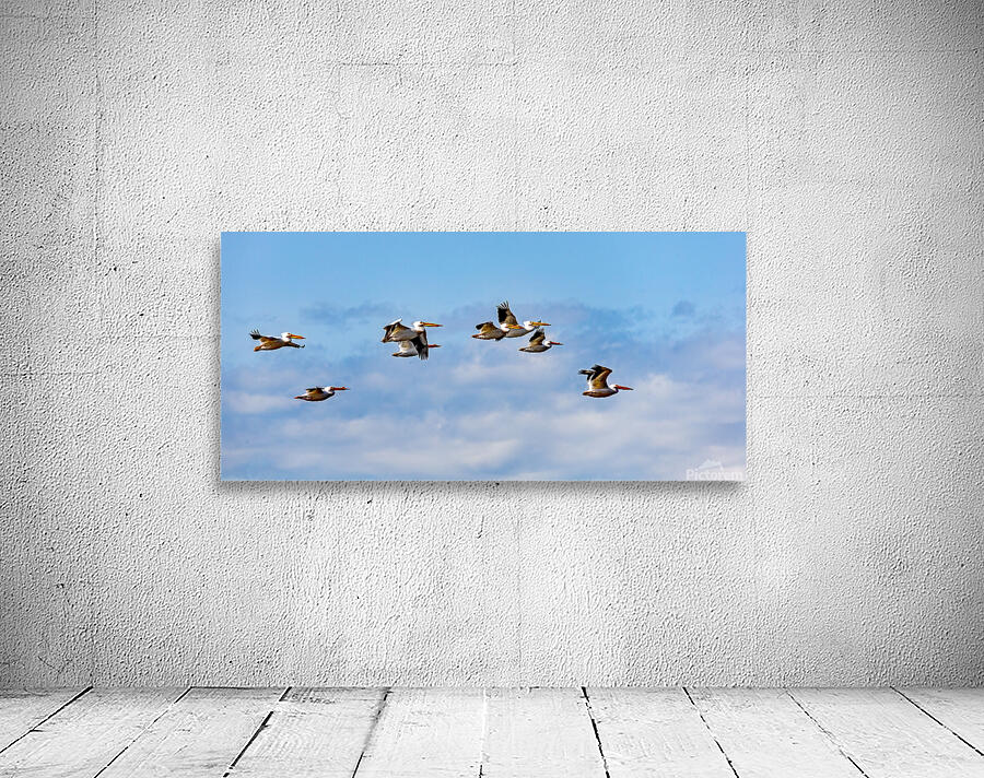 Flyby Wall Preview