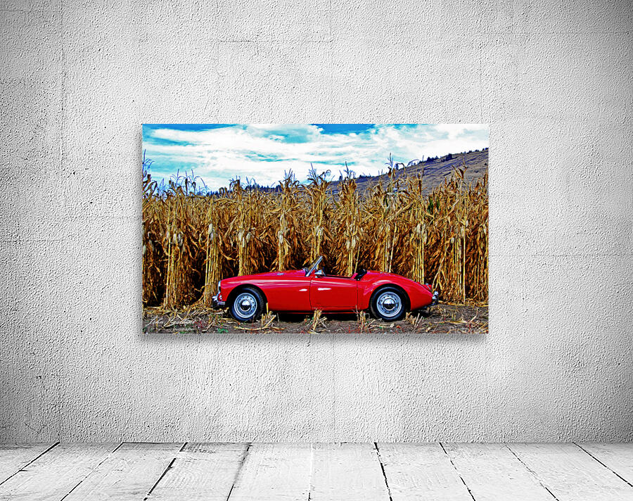 MGA Cornfield Wall Preview