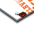 Cleveland Browns 29 Acrylic print