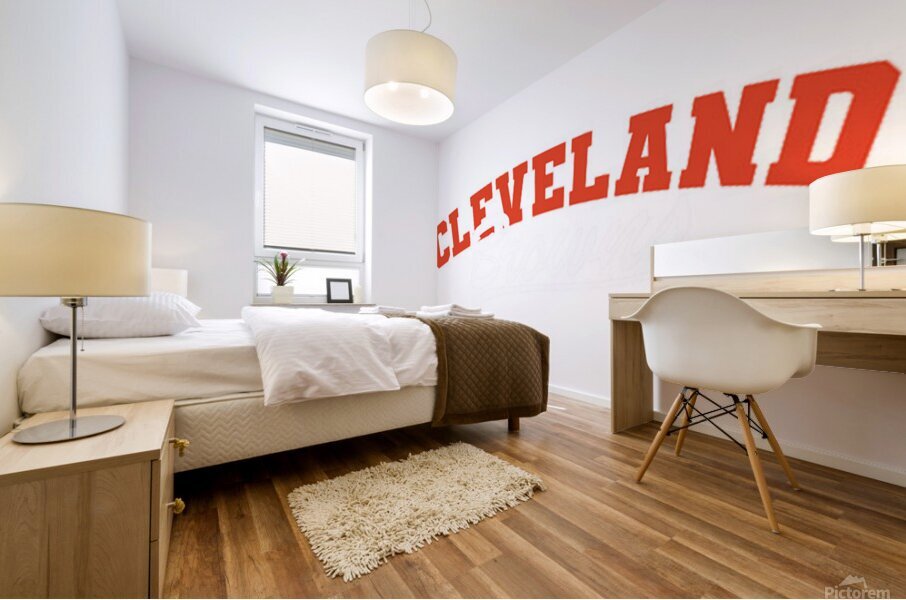 Cleveland Browns 1 Mural print