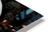 6 HD Metal print