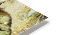 11 HD Metal print