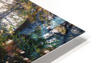 IMG 4190 HD Metal print