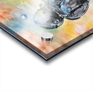 Gravity Acrylic print