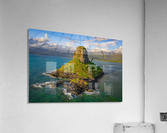 Mokolii Acrylic Print