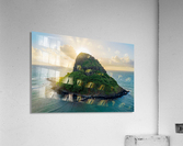 Mokolii Acrylic Print