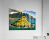 Mokolii  Acrylic Print