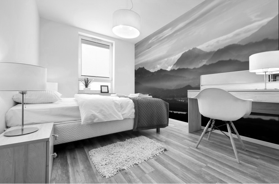 B W Koolaus Mural print