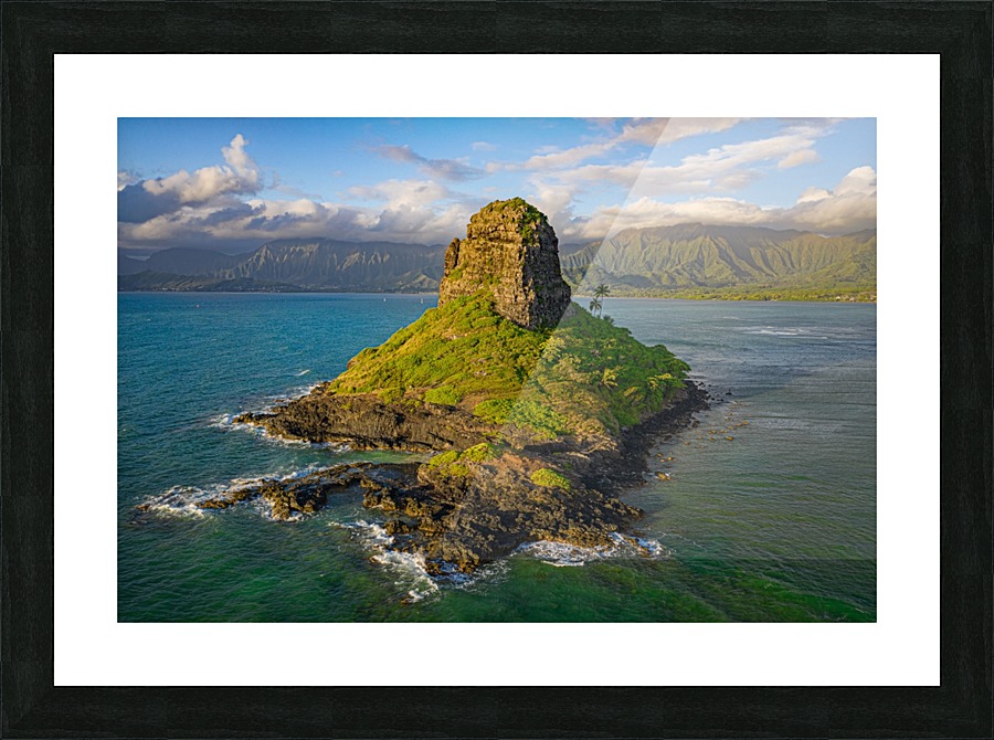 Mokolii Picture Frame print