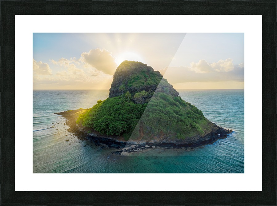 Mokolii Picture Frame print