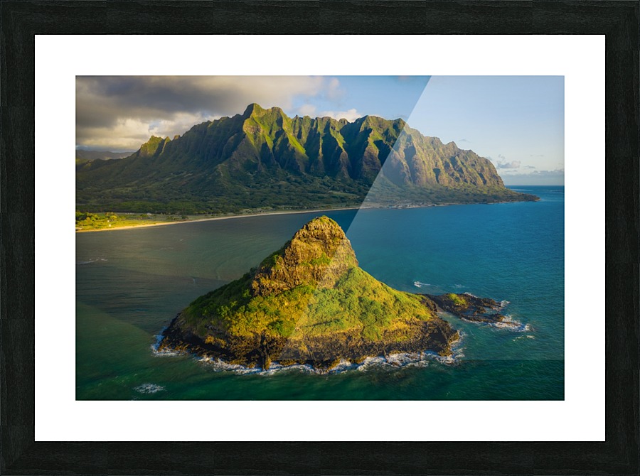 Mokolii Picture Frame print