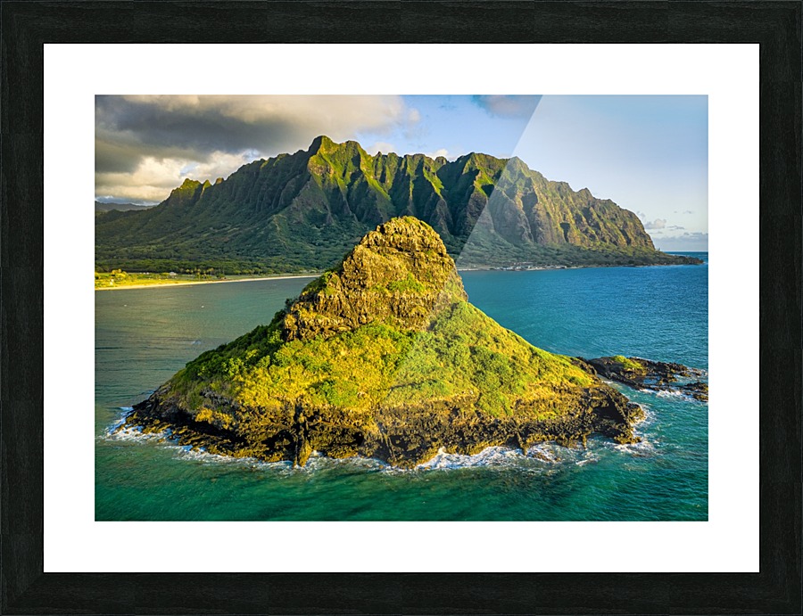 Mokolii  Picture Frame print