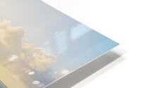 Mokolii HD Metal print