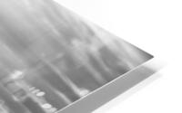B W Koolaus HD Metal print