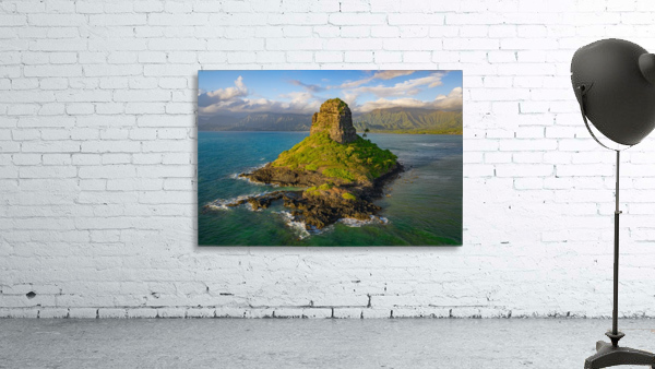 Mokolii Wall Preview