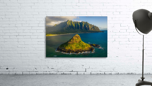 Mokolii Wall Preview