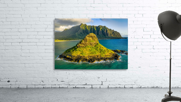 Mokolii  Wall Preview