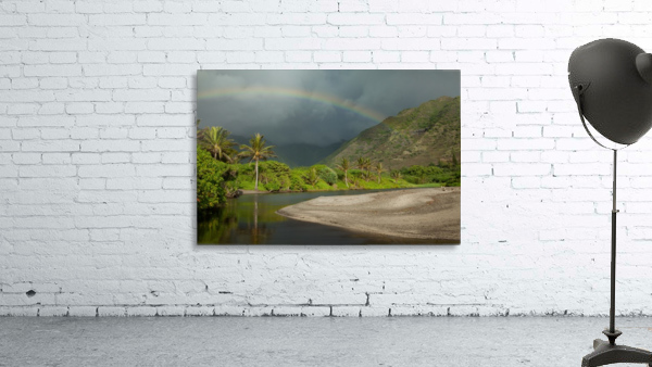 Beach at Halawa  Wall Preview