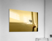 Elk 1 Acrylic Print