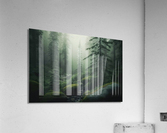 Deep Woods Acrylic Print