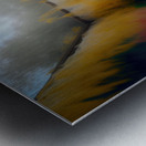 Corn Studio Skylight Metal print