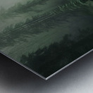 Deep Woods Metal print