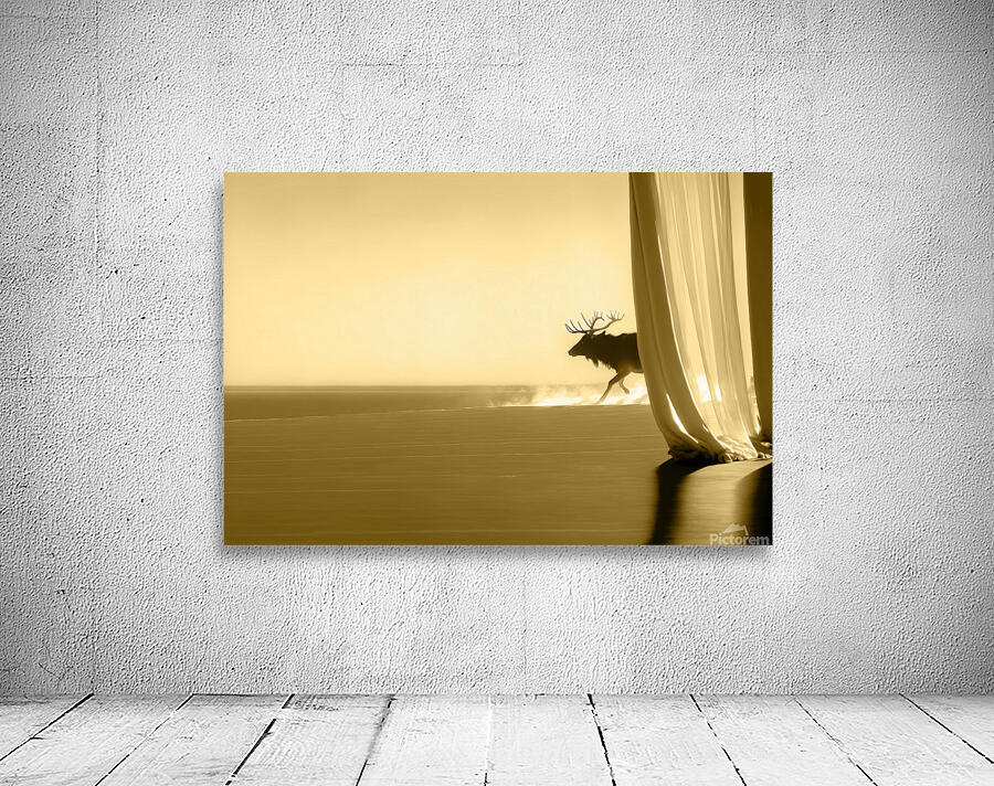 Elk 1 Wall Preview