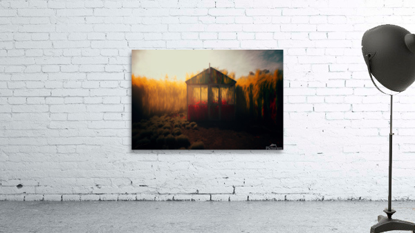 Studio in a Cornfield Wall Preview