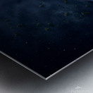 Looking Up Metal print