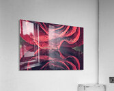 Rose Acrylic Print